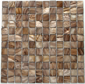 Brown Shell S12