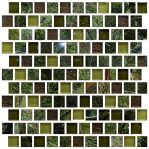 Imagination 1 x 1 Offset Design Wild Forest