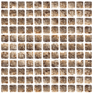 Rock Ice Squared Up
