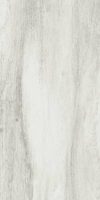 Citrus Blossom Natural 12 X 24 RECTIFIED EDGE