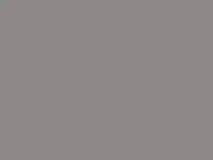 Pure Gray