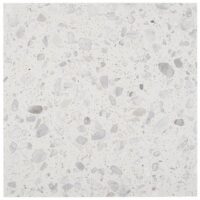 Italy Terrazzo Sacra Bianco 24×24 Honed