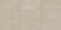 Elegant Beige
