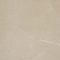 Elegant Beige