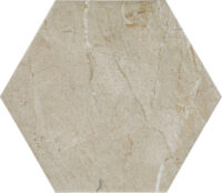Elegant Beige
